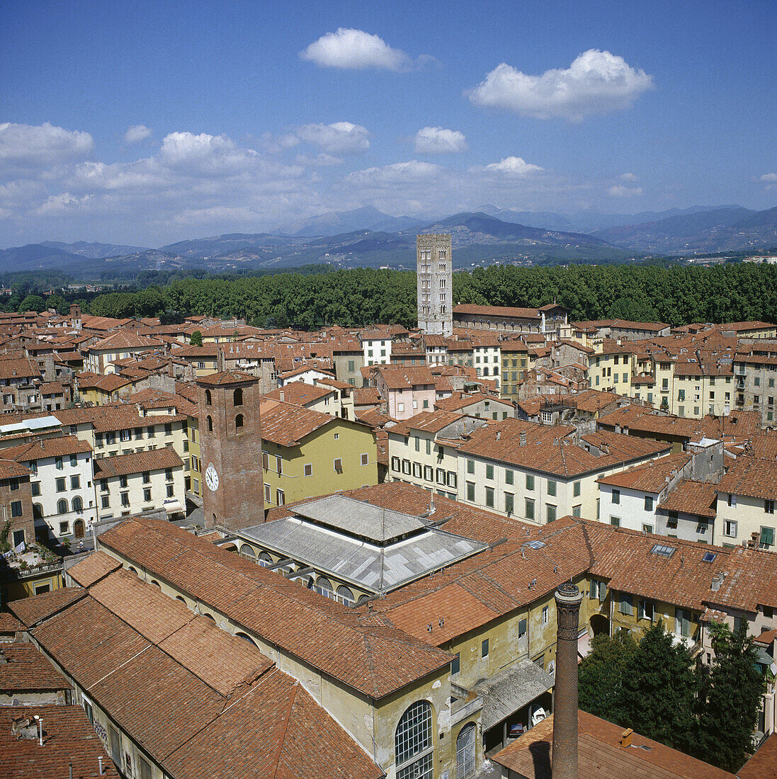 View of Lucca from Tower Guinigi. Lucca. Tuscany. Italy