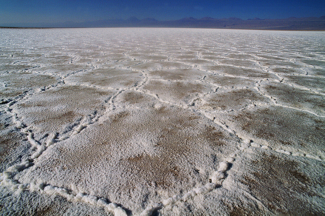 Salar de Atacama. Atacama Desert. Chile