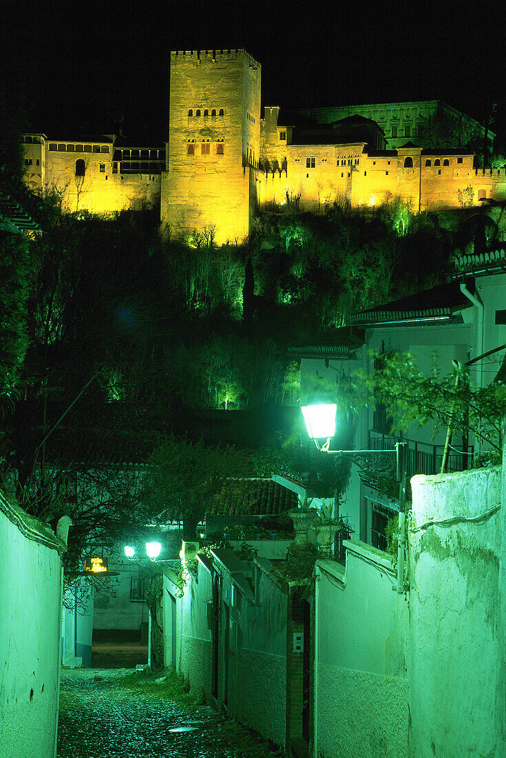 The Alhambra. Granada. Spain