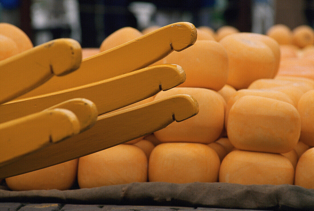 Piled yellow cheeses and details of yellow carts at cheese market in Alkmaar. The Netherlands