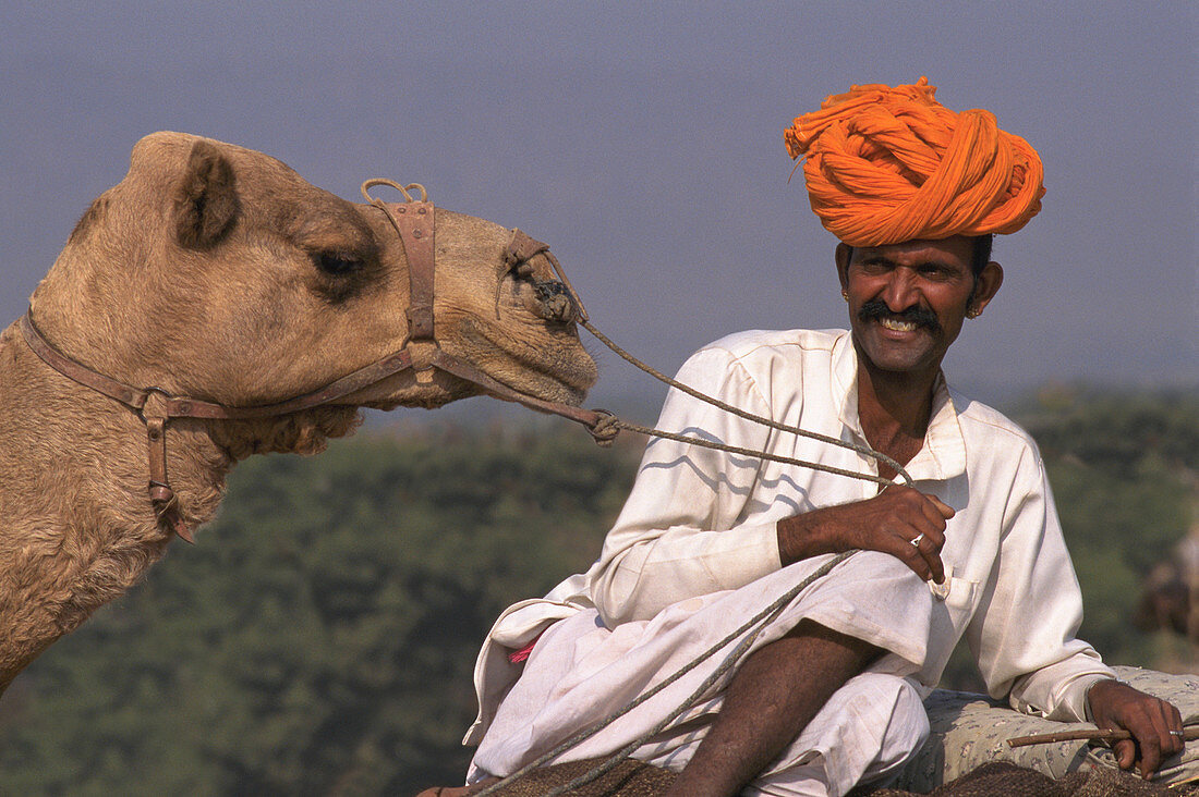 Pushkar camel fair. India