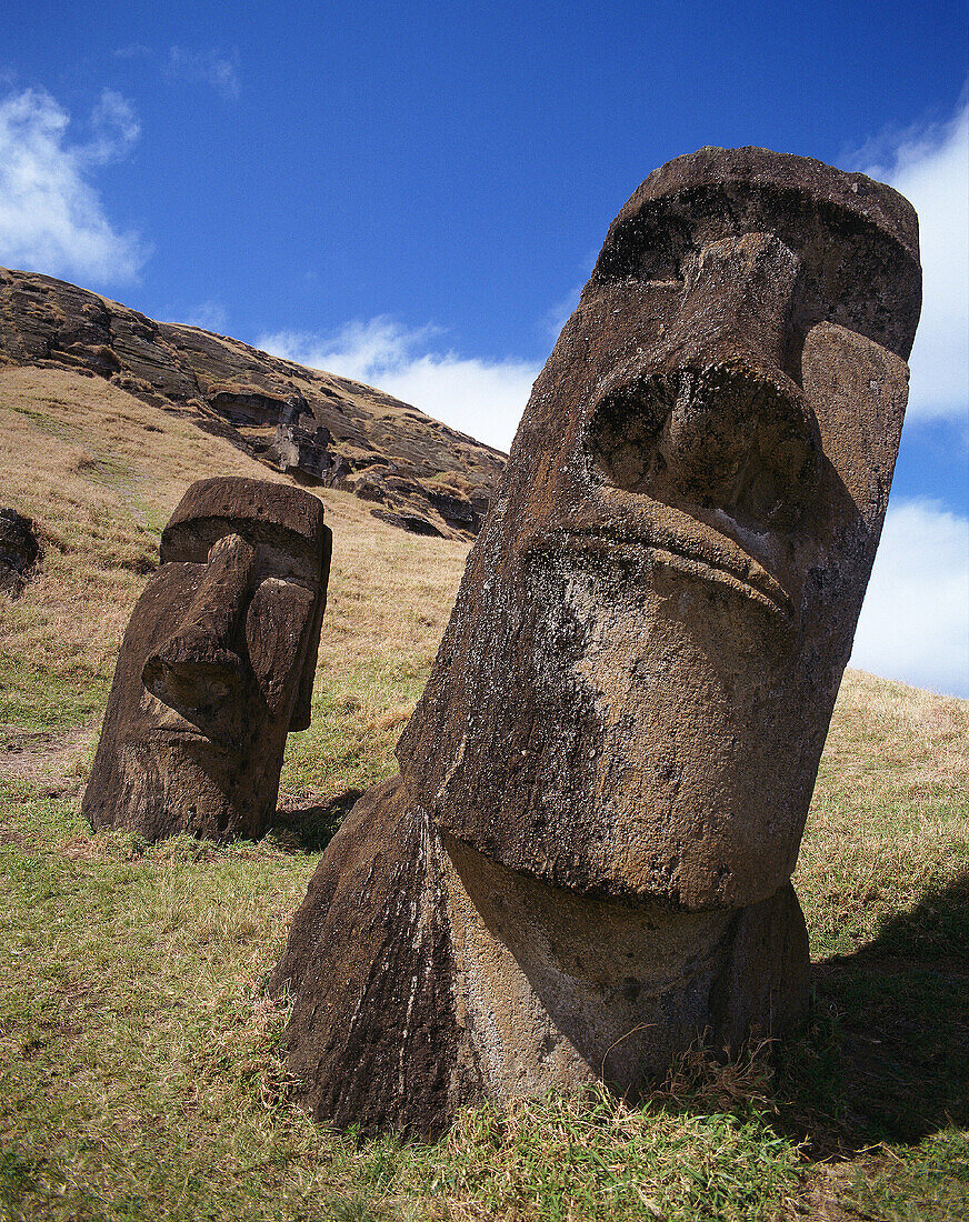 Moais at Rano Raraku quarry. Easter Island. Chile