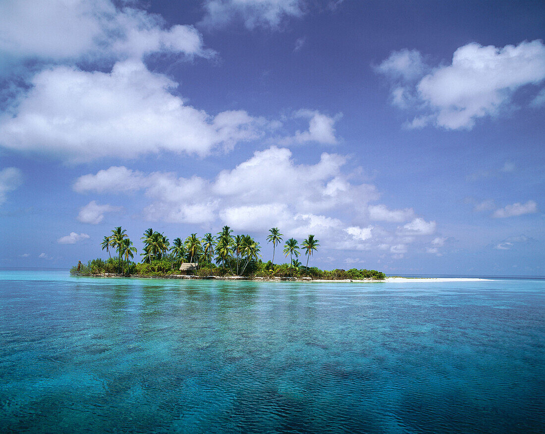 Coral Reef. Maldive Islands
