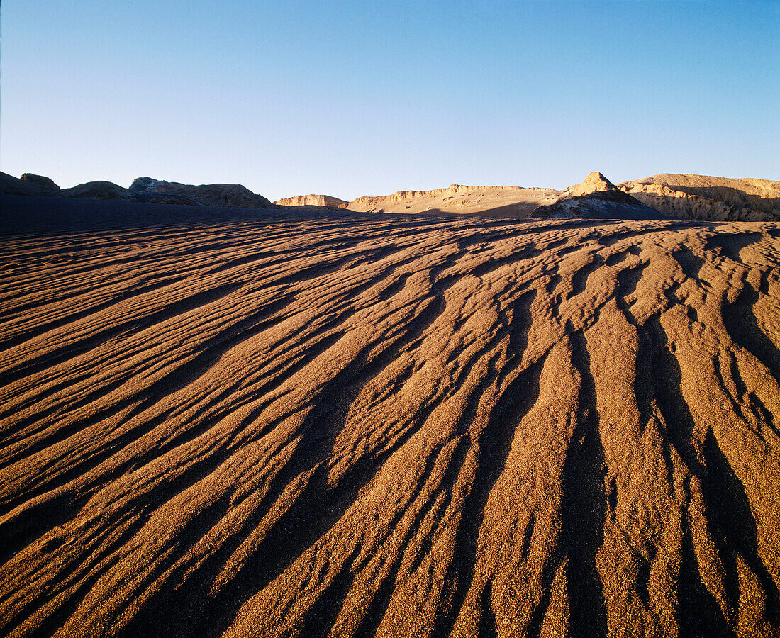 Atacama Desert. Chile