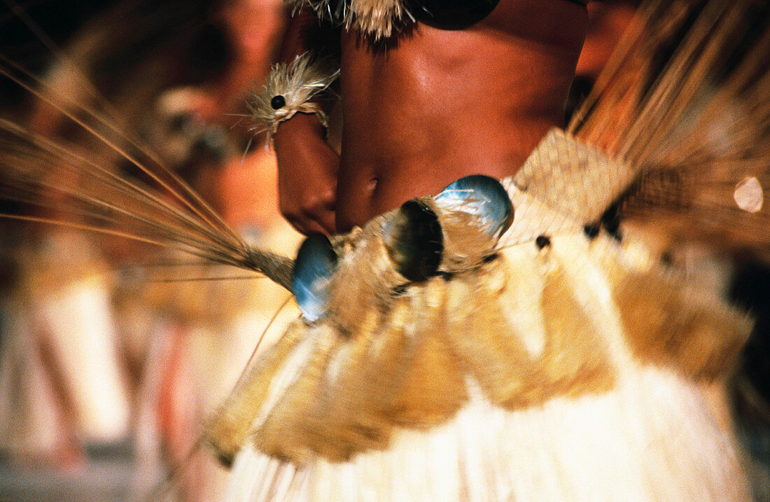 Close up of a female dancer waist during a tamure dance. Tahiti. French Polynesia