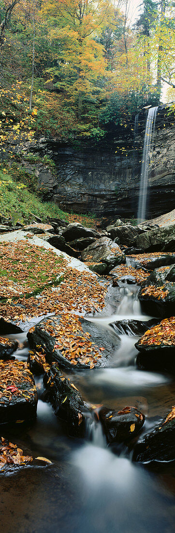 Lower Falls of Hills Creek from downstream with fallen leaves, autumn