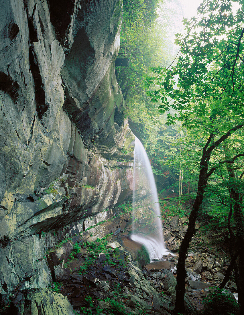 Rainbow Falls. Great Smoky Mountains NP. Tennessee. USA