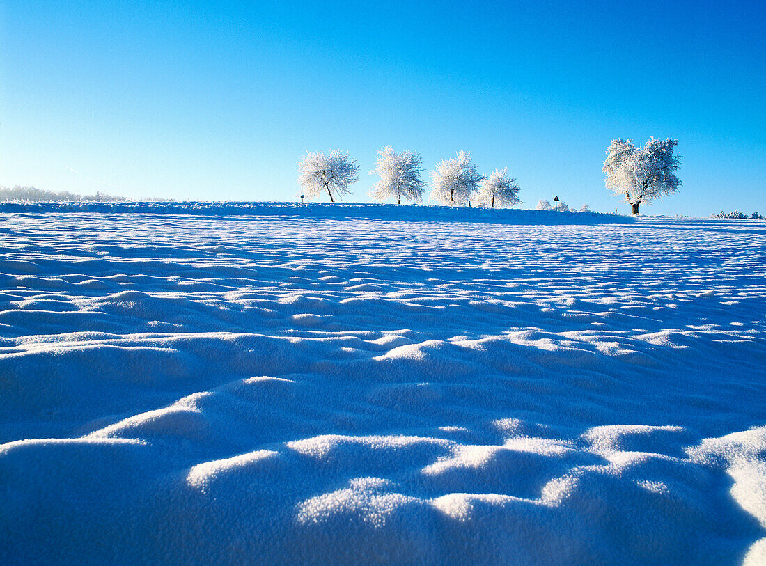 Schneebedeckte Winterlandschaft, Saarland, Deutschland