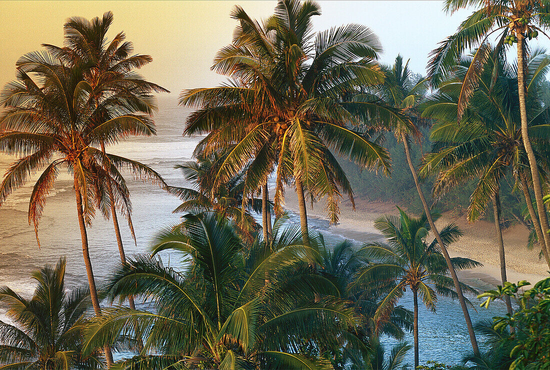 Napali Coast. Kauai. Hawaii. USA