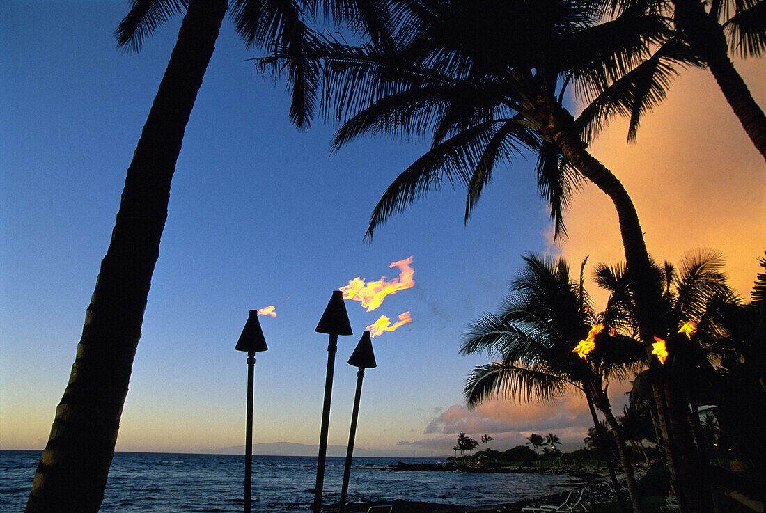 Tiki torches. Hawaii