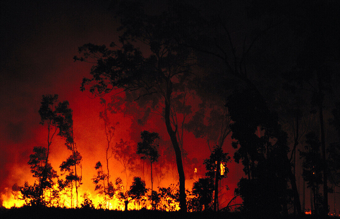 Wild Fire. Northern Territory. Australia