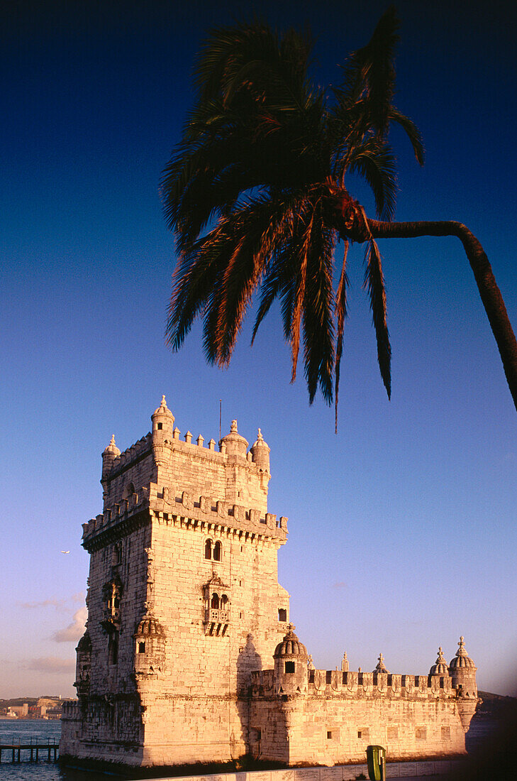 Belem Tower and palm at dusk. Lisbon. Portugal