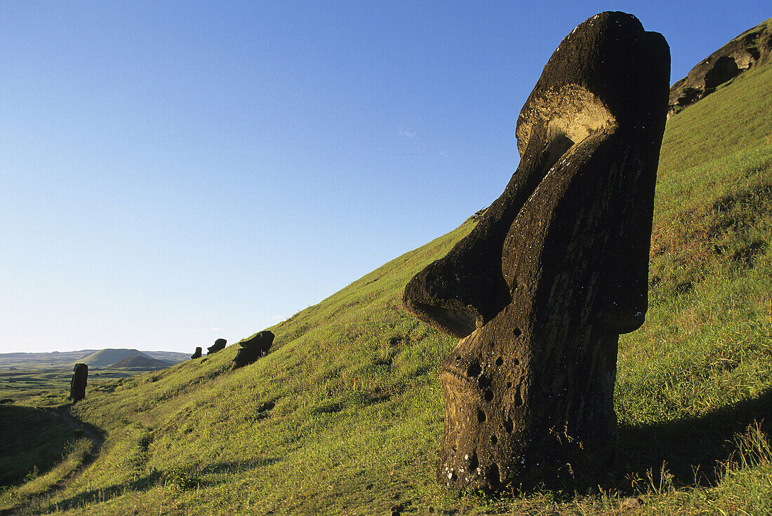 Moai quarry. Ranu Raraku. Easter Island. Chile.