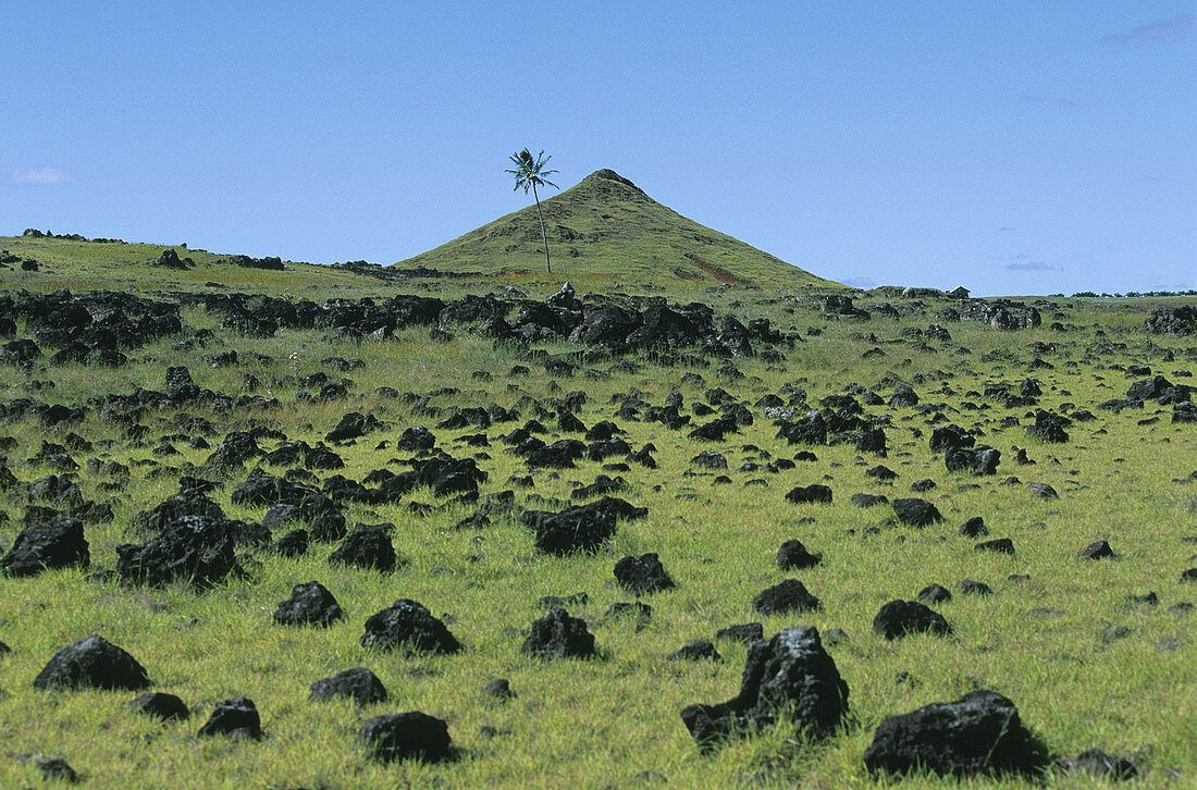 South coast. Easter Island. Chile.