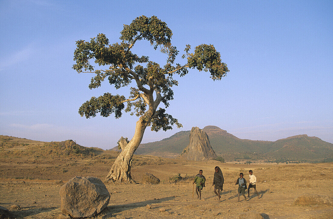 Monna mountain. Chinese Road. Ethiopia.