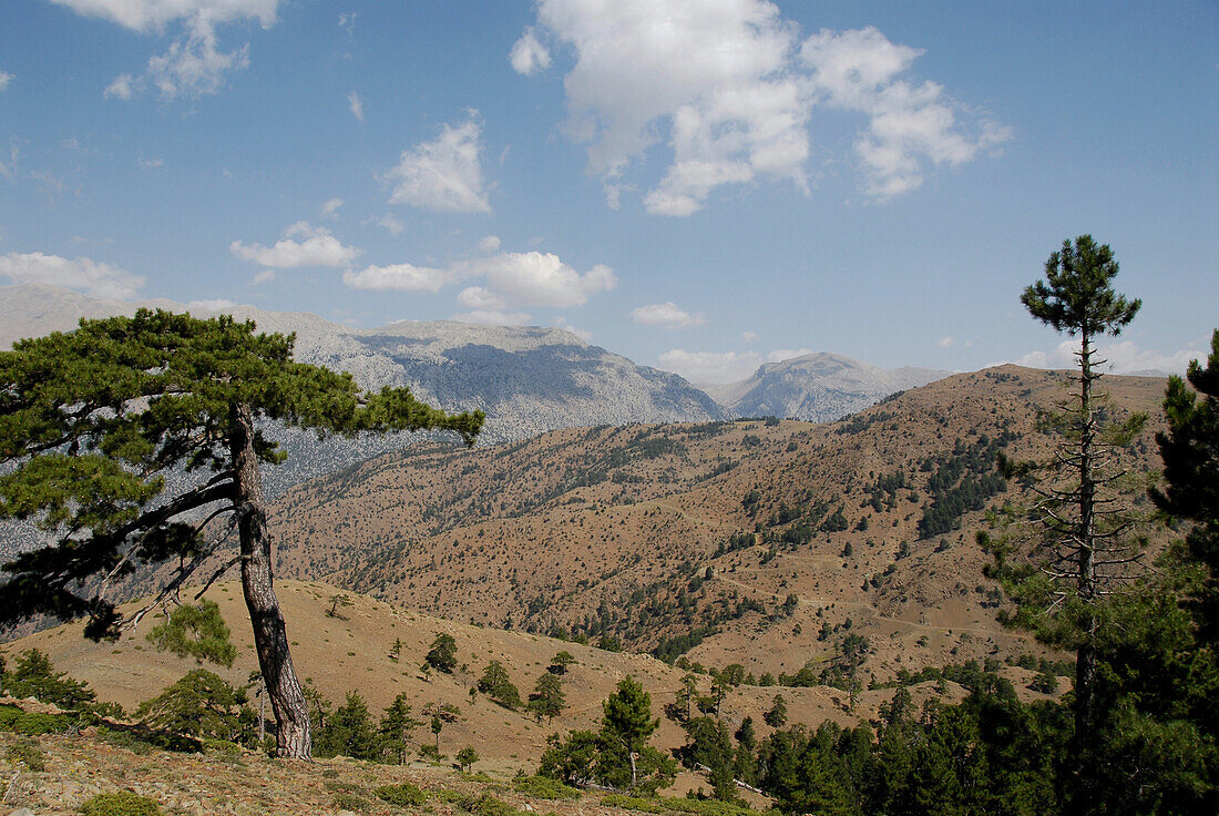 Landscape between Kozluca and Tashan, mountain pass of Divrik Dag, Highlands of Zamanti, Taurus Mountains, Turkey, Europe