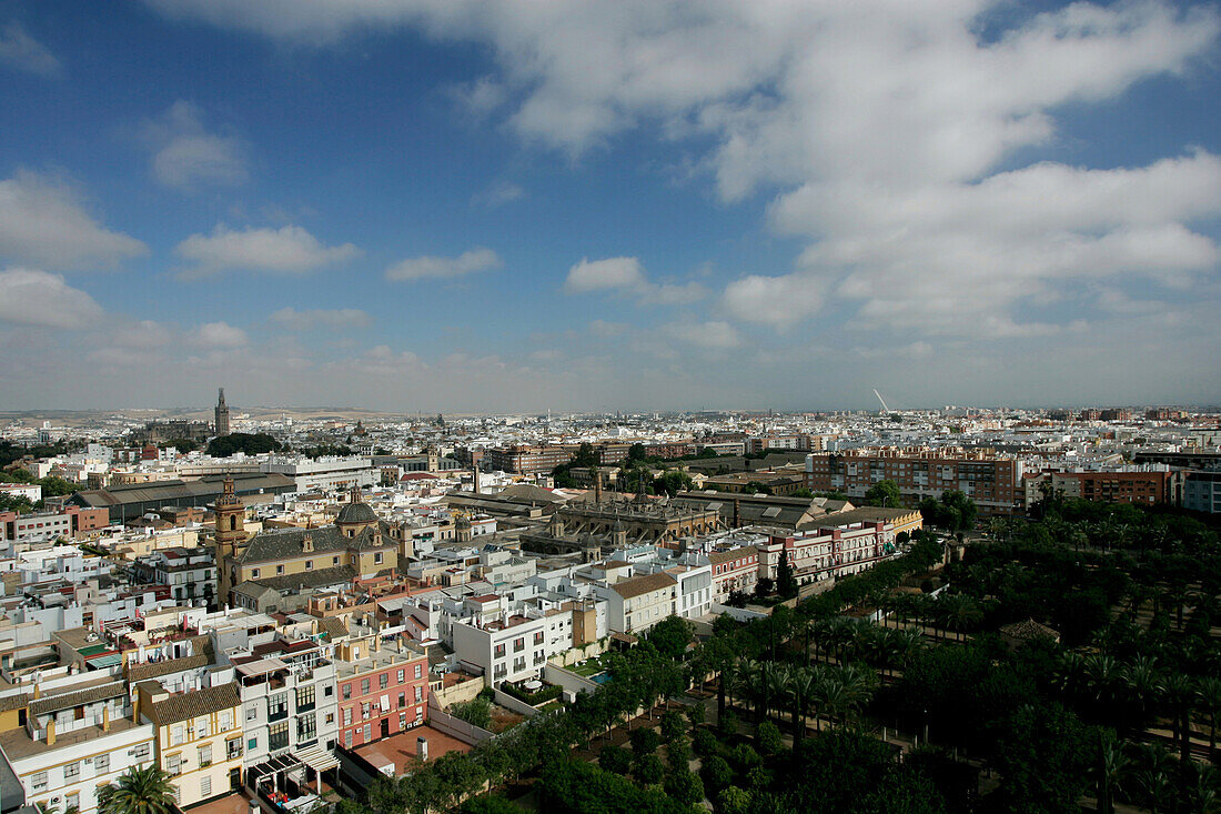 View of the town, Sevilla, Andalusia, Spain, Europe