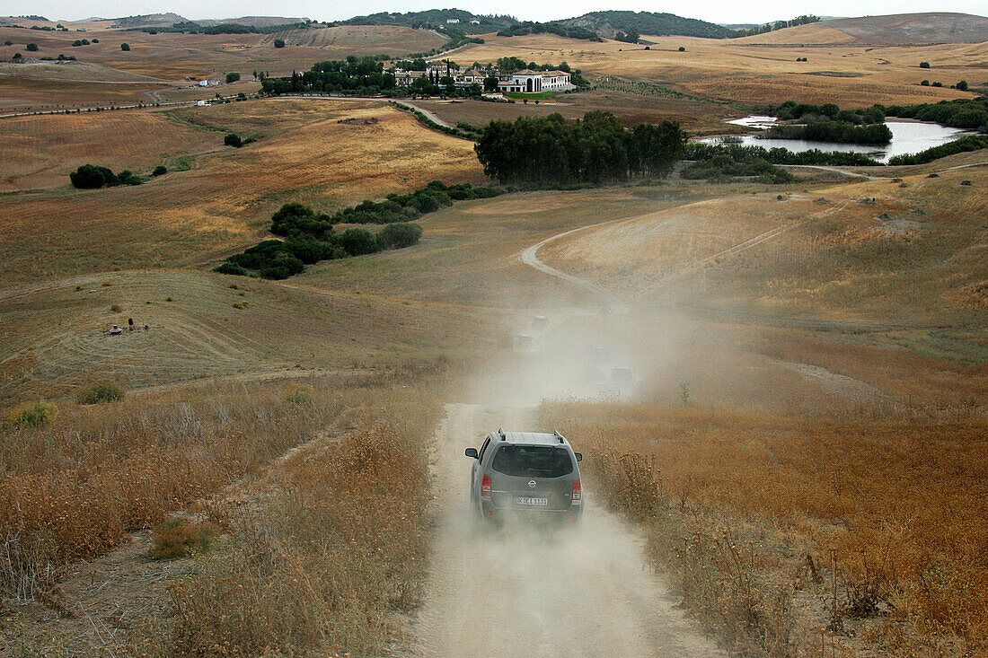 Ländliches Motiv, Auto fährt entlang einer Landstraße, Cortiso Soto Real, Andalusien, Spanien, Europa