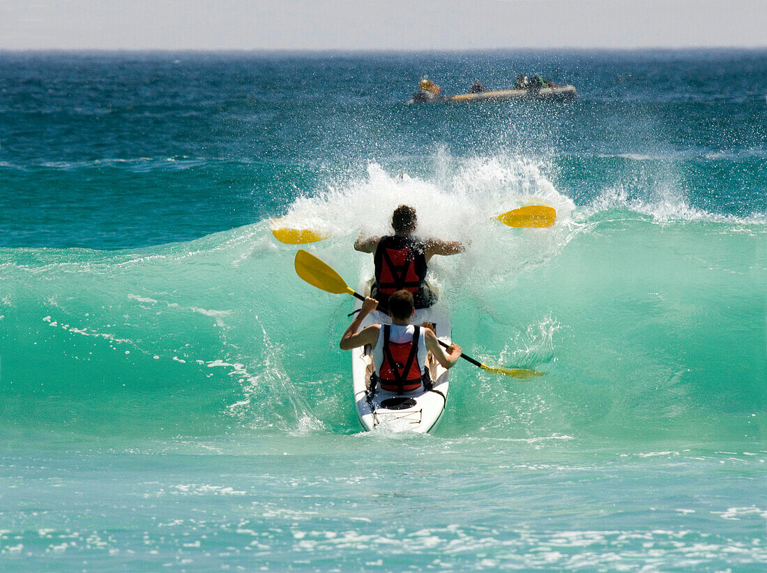 Two men paddling over a wave, Sandy Bay Beach, Cape Town, South Africa, Africa, mr