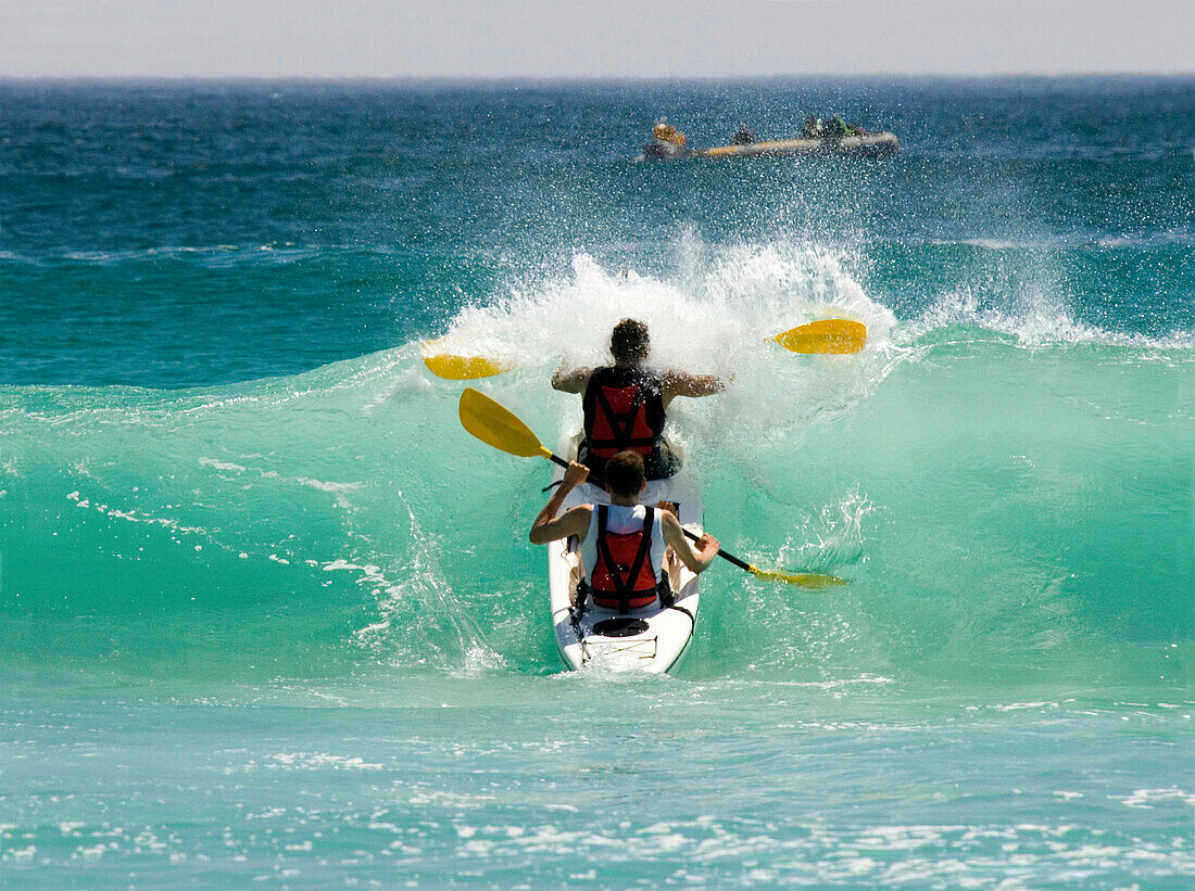 Zwei Männer paddeln über eine Welle, Sandy Bay Beach, Kapstadt, Südafrika, Afrika