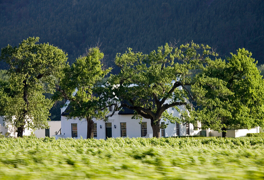 Landschaft mit Landhaus, Haus in Südafrika, Afrika