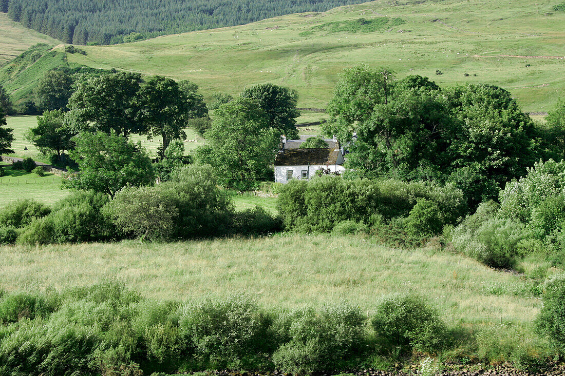 Landscape near Loch Ard, Southern Highlands, Scotland, Great Britain, Europe