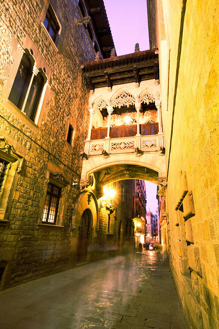 Barcelona,Barri Gotic Carrer del Bisbe at twilight