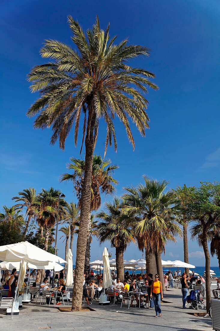 Spain Barcelona beach Platja de la Barceloneta street cafe