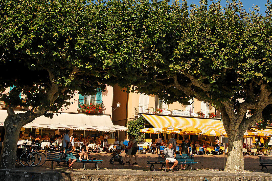 Switzerland, Ticino, Ascona lake Promenade