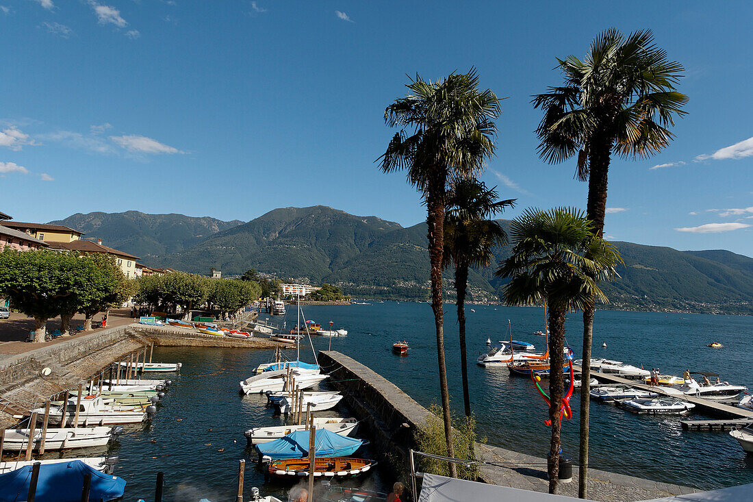 Switzerland, Ticino, Ascona Lago Maggiore little harbour for motor boats