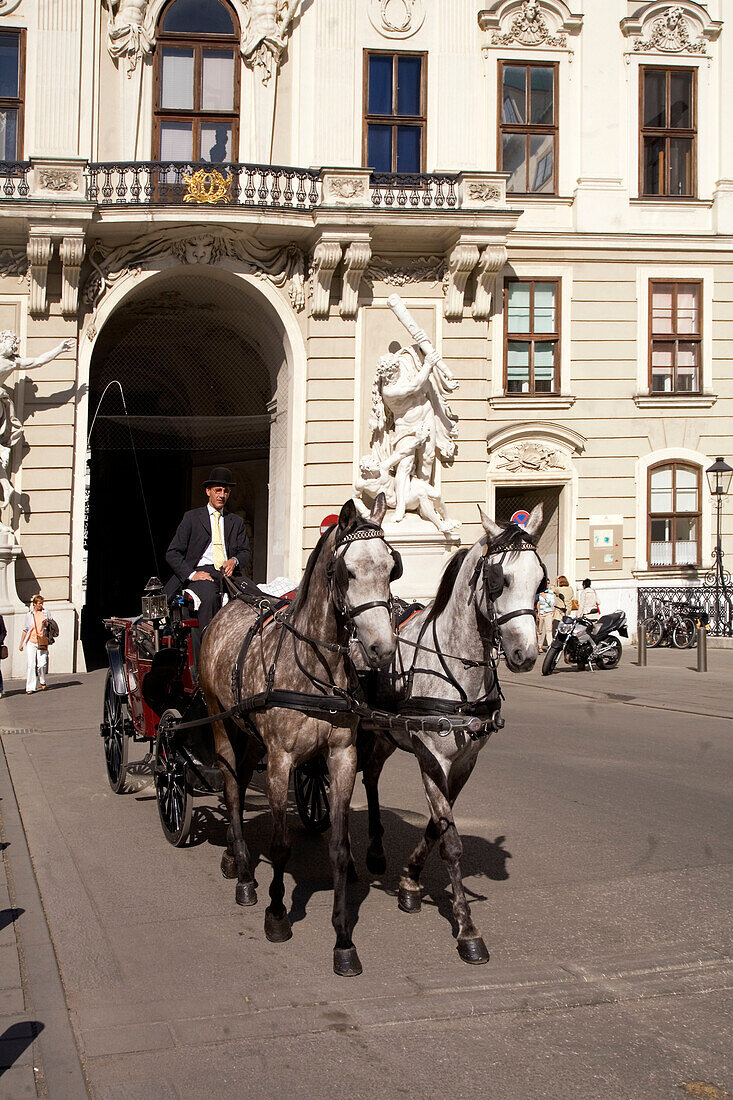 Vienna Hofburg Fiaker