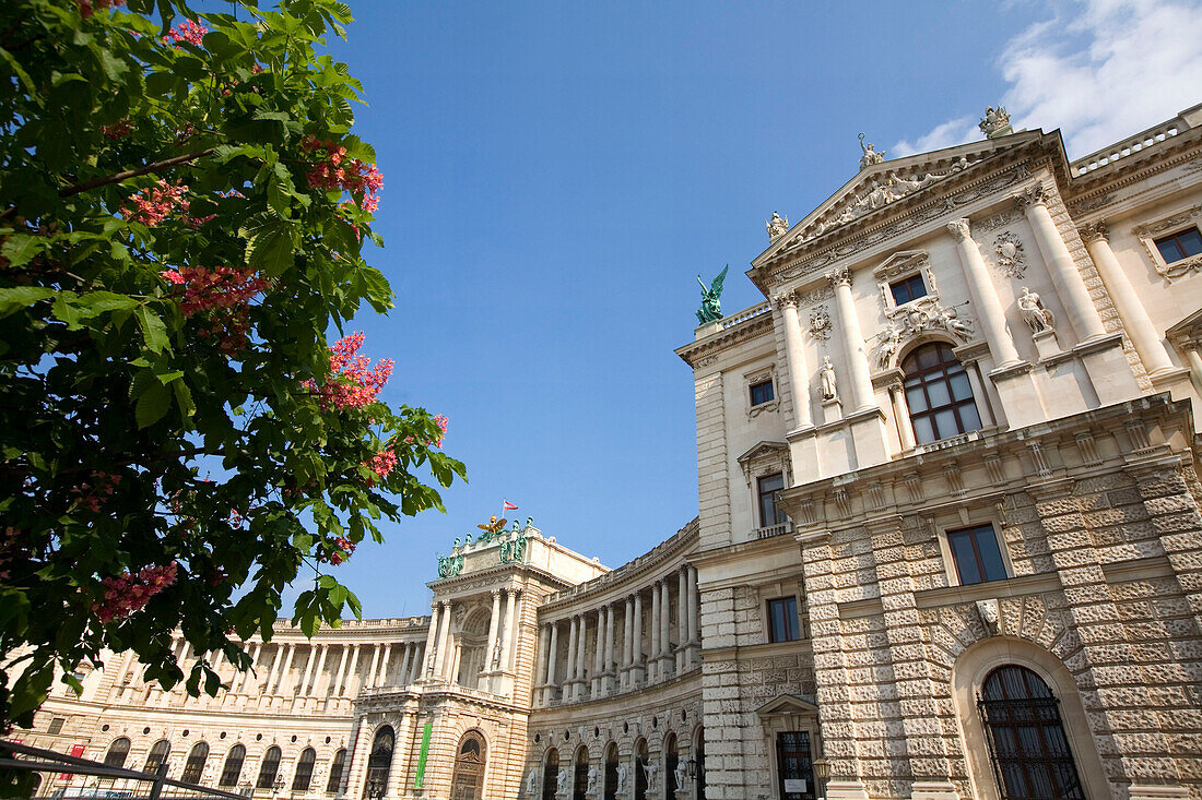 Wien Hofburg Museum fuer Voelkerkunde Nationalbibliothek