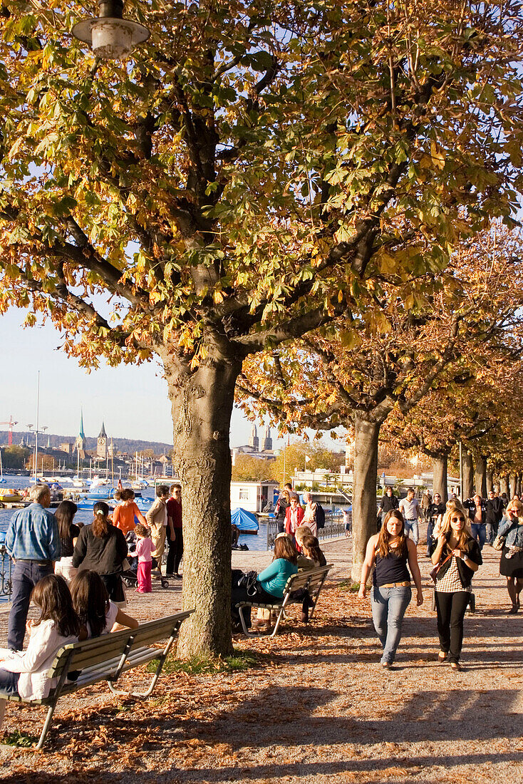 Schweiz Zürich Seepromenade