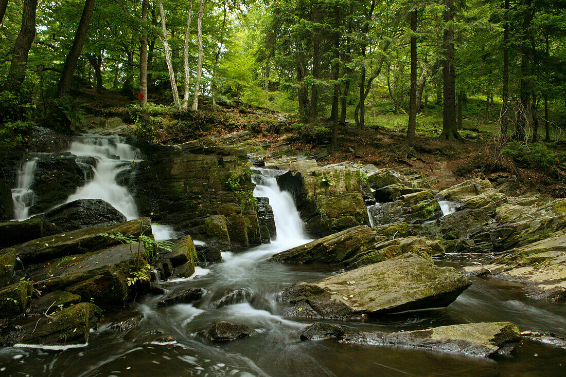 River Selke flowing through Selke valley, Alexisbad, Harzgerode, Saxony Anhalt, Germany