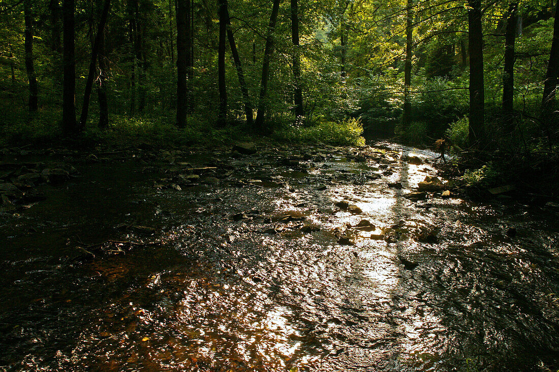 Selke river near Alexisbad in the Harz Mountains, Saxony Anhalt, Germany