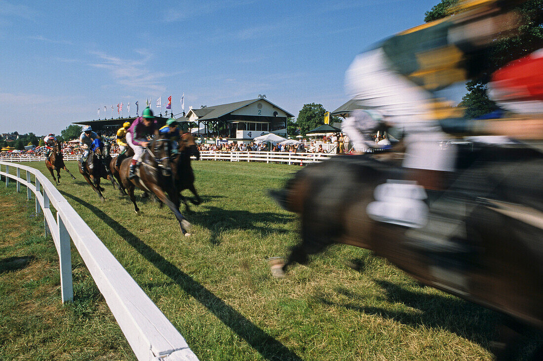 Horse racing, Bad Harzburg, Lower Saxony, Germany