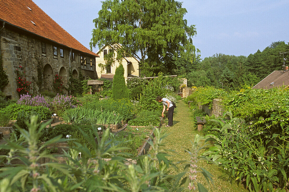Monastery garden of Michaelstein monastery, Blankenburg, Saxony Anhalt, Germany