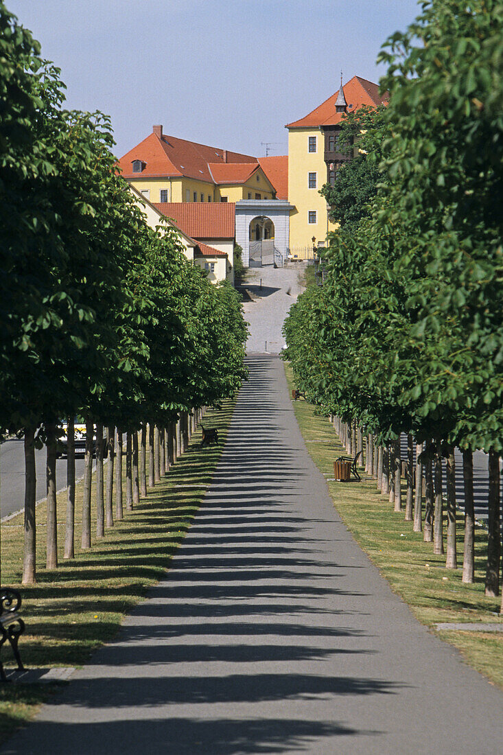 Schloss Ballenstedt, Allee, Sachsen-Anhalt, Harz