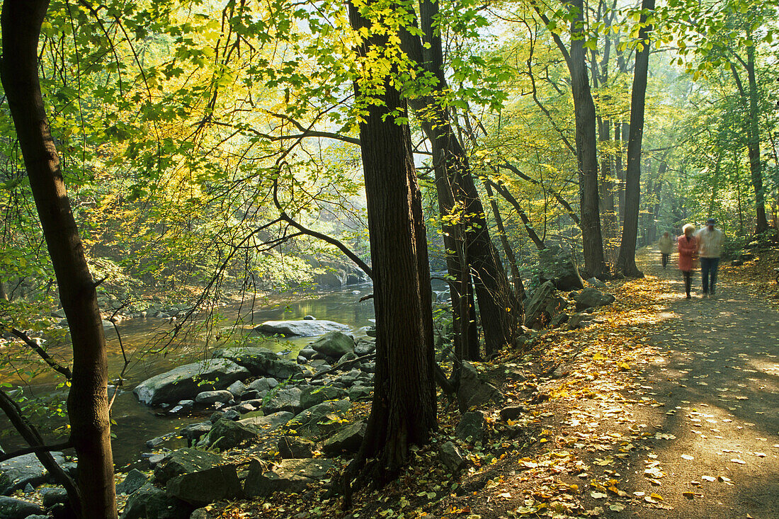 Hicking trail along Bode river, Thale, Saxony Anhalt, Germany