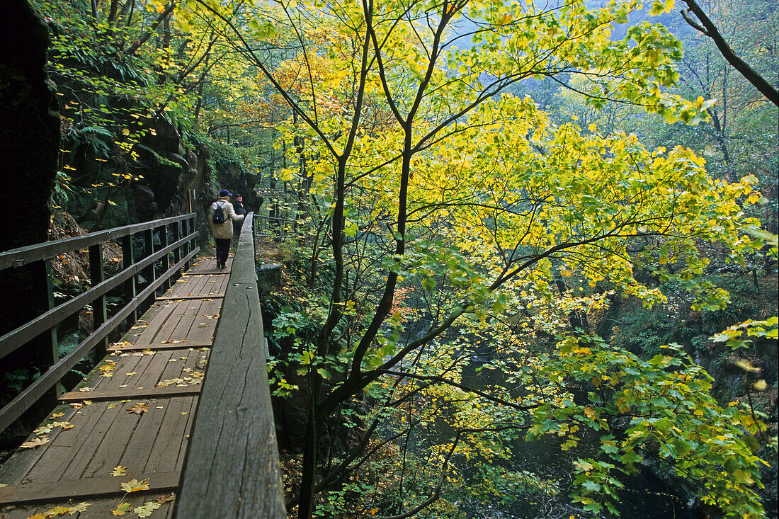 walking track, bridge, Bodetal, Harz Mountains, Saxony Anhalt, Germany