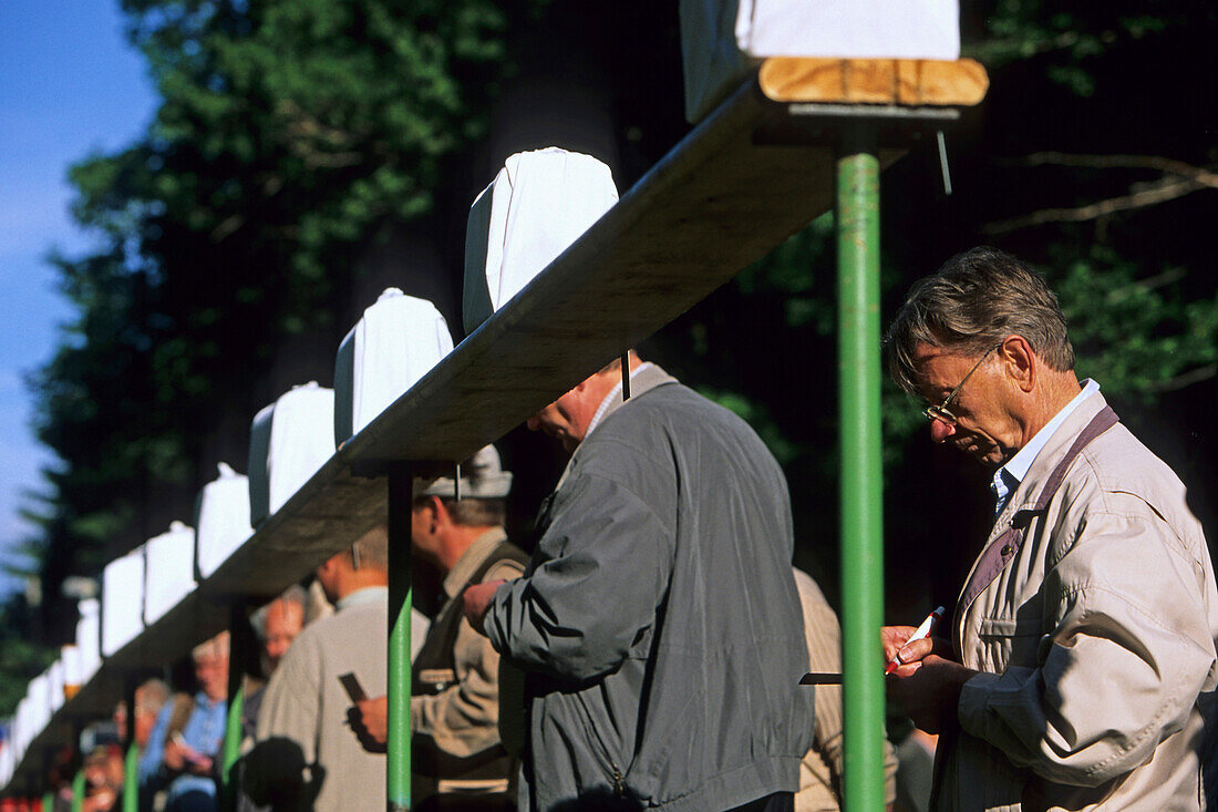 Finken, Finkenmanöver, Benneckenstein, Sachsen-Anhalt, Harz