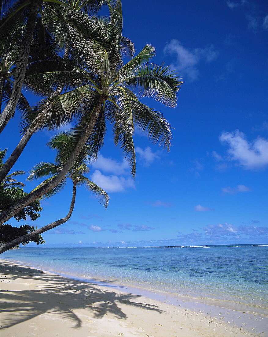 Oahu. Hawaii. USA