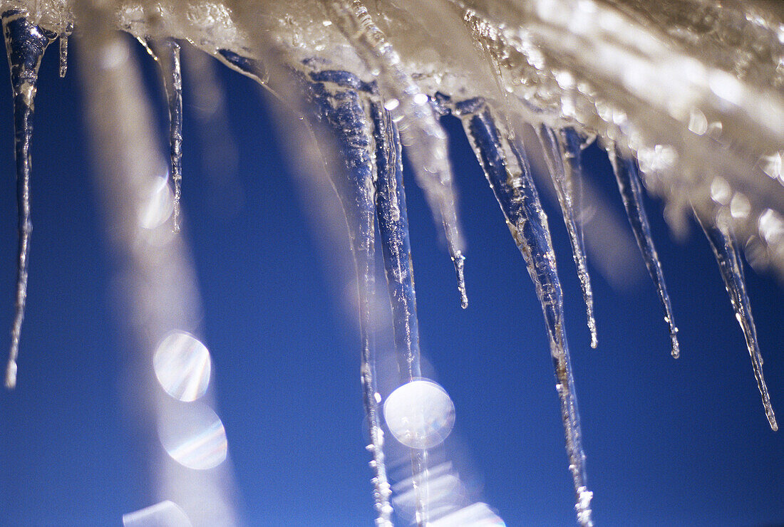 Icicles