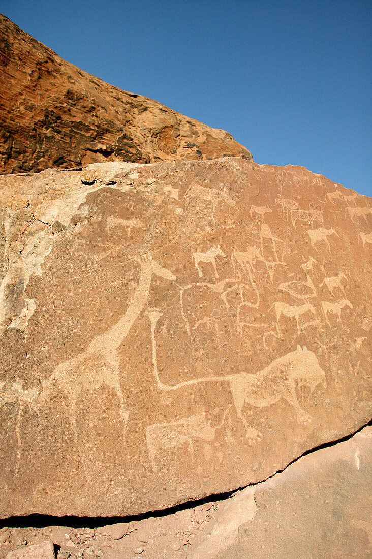 Cave carvings