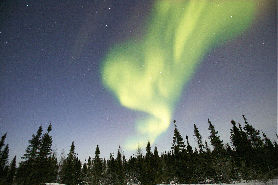 Northern lights