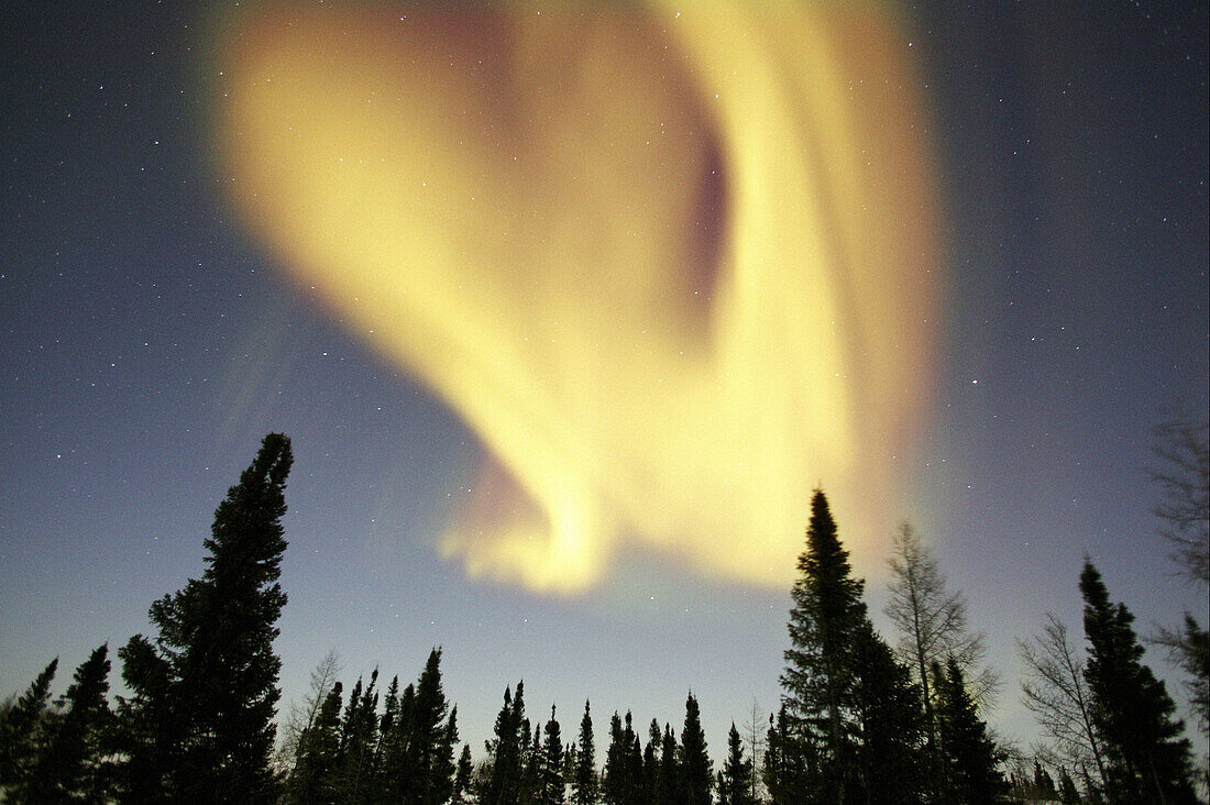 Northern lights