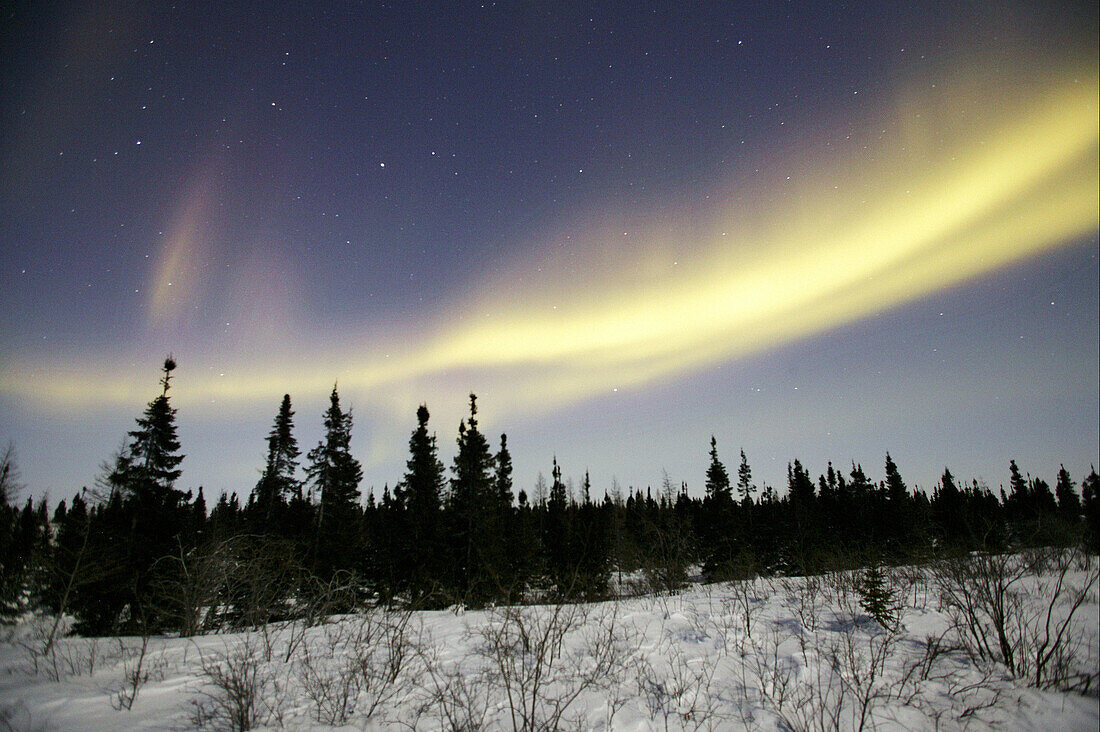 Northern lights