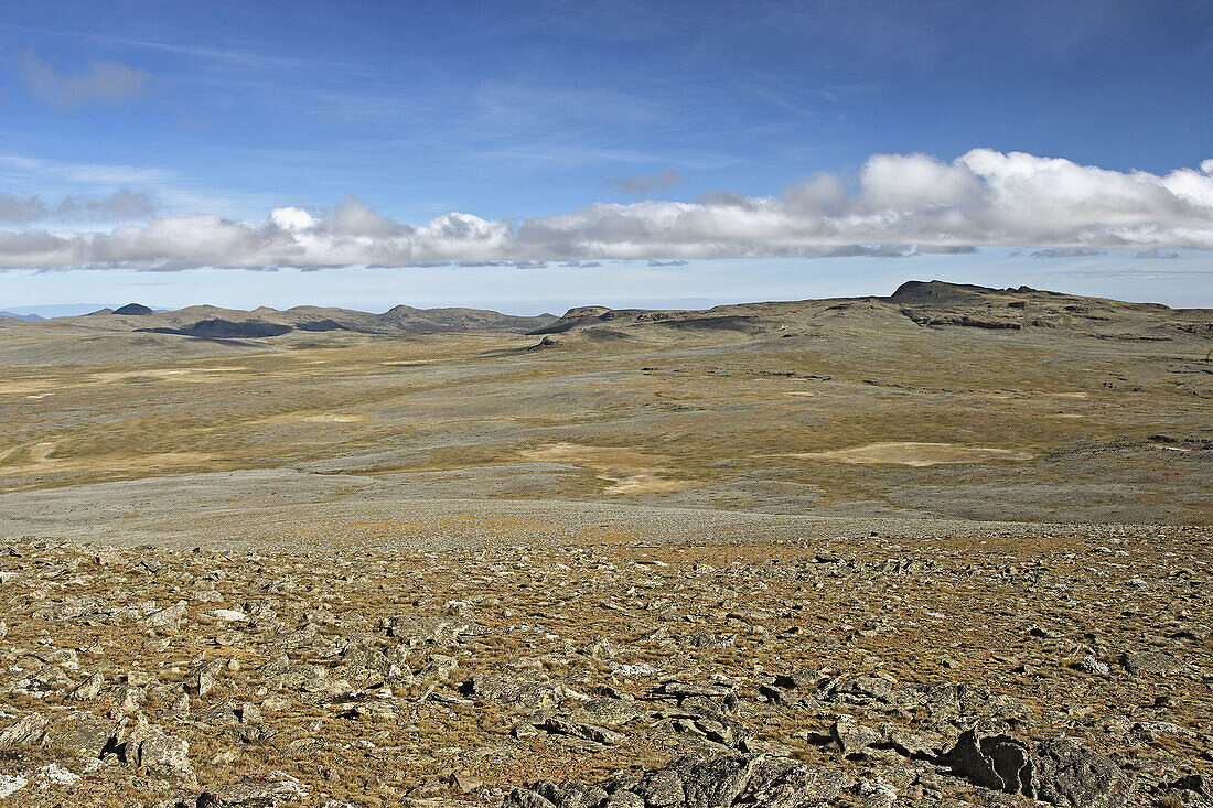 Sanetti Plateau (4000 m.) and Bale Mountains, view from the top of Konteh (4132 m.). Ethiopia