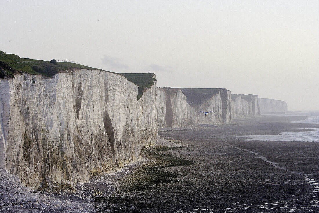 Ault cliffs. Marquentaire. France.