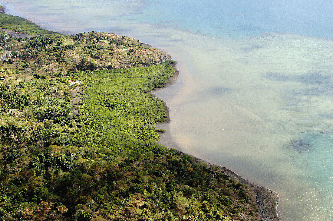 Mangrove. Mayotte.